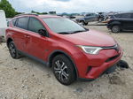 2017 Toyota Rav4 Le Red vin: JTMZFREV6HJ148416