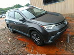 2016 Toyota Rav4 Le Gray vin: JTMZFREV8GJ085799