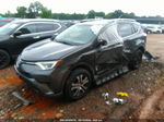 2016 Toyota Rav4 Le Gray vin: JTMZFREV8GJ085799