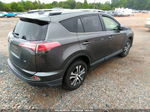 2016 Toyota Rav4 Le Gray vin: JTMZFREV8GJ085799