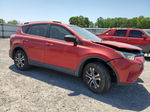 2017 Toyota Rav4 Le Red vin: JTMZFREV9HJ121209