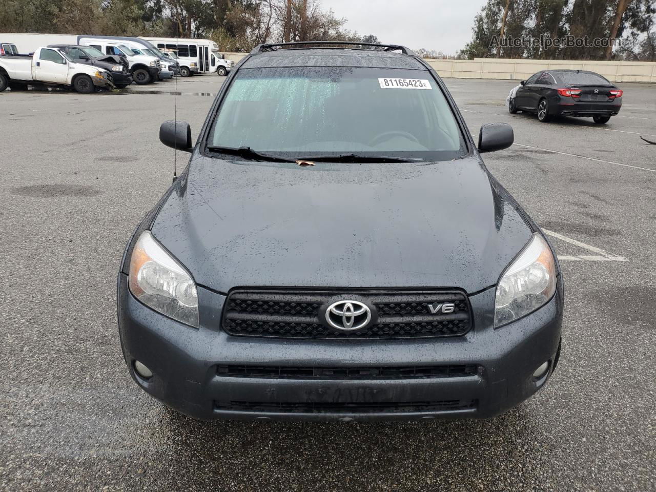 2007 Toyota Rav4 Sport Серый vin: JTMZK32V676009689