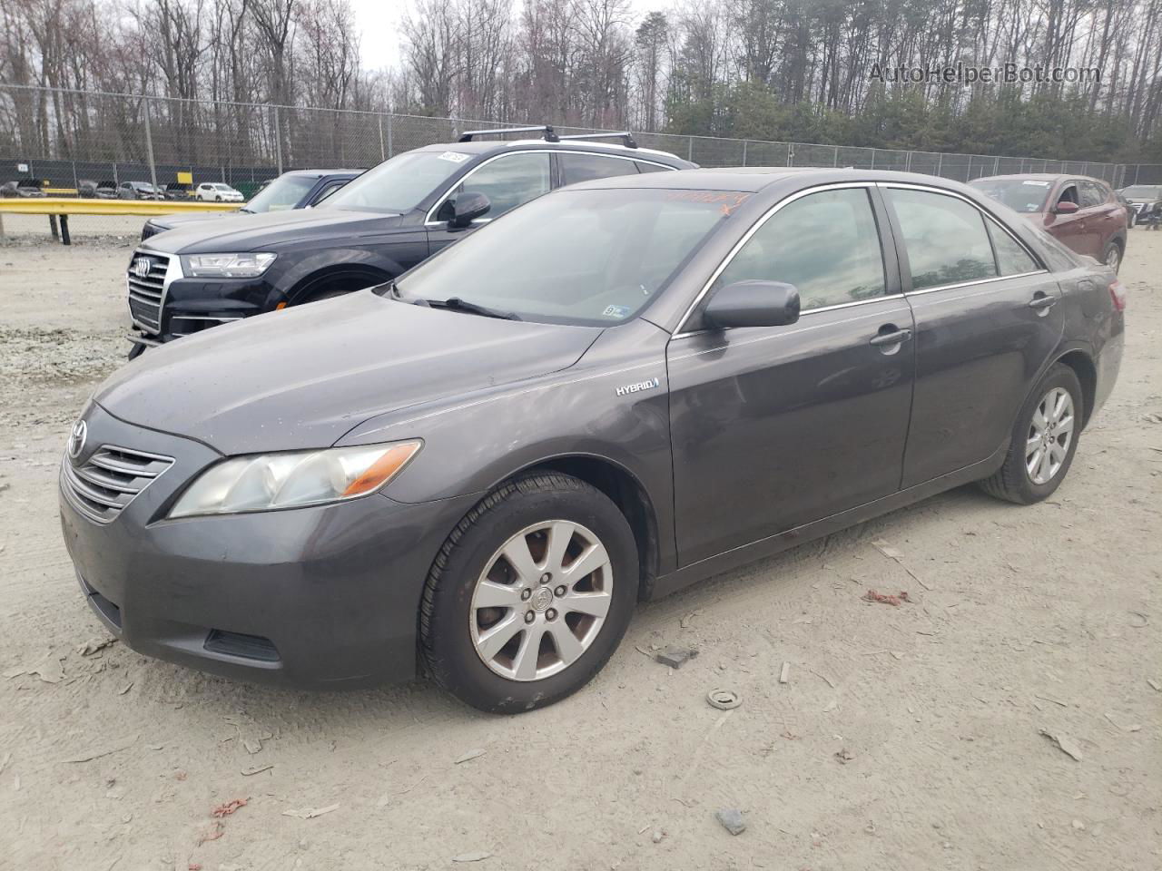 2008 Toyota Camry Hybrid Gray vin: JTNBB46K383044857