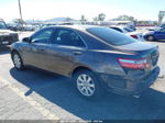 2007 Toyota Camry Xle V6 Brown vin: JTNBK46K073007313