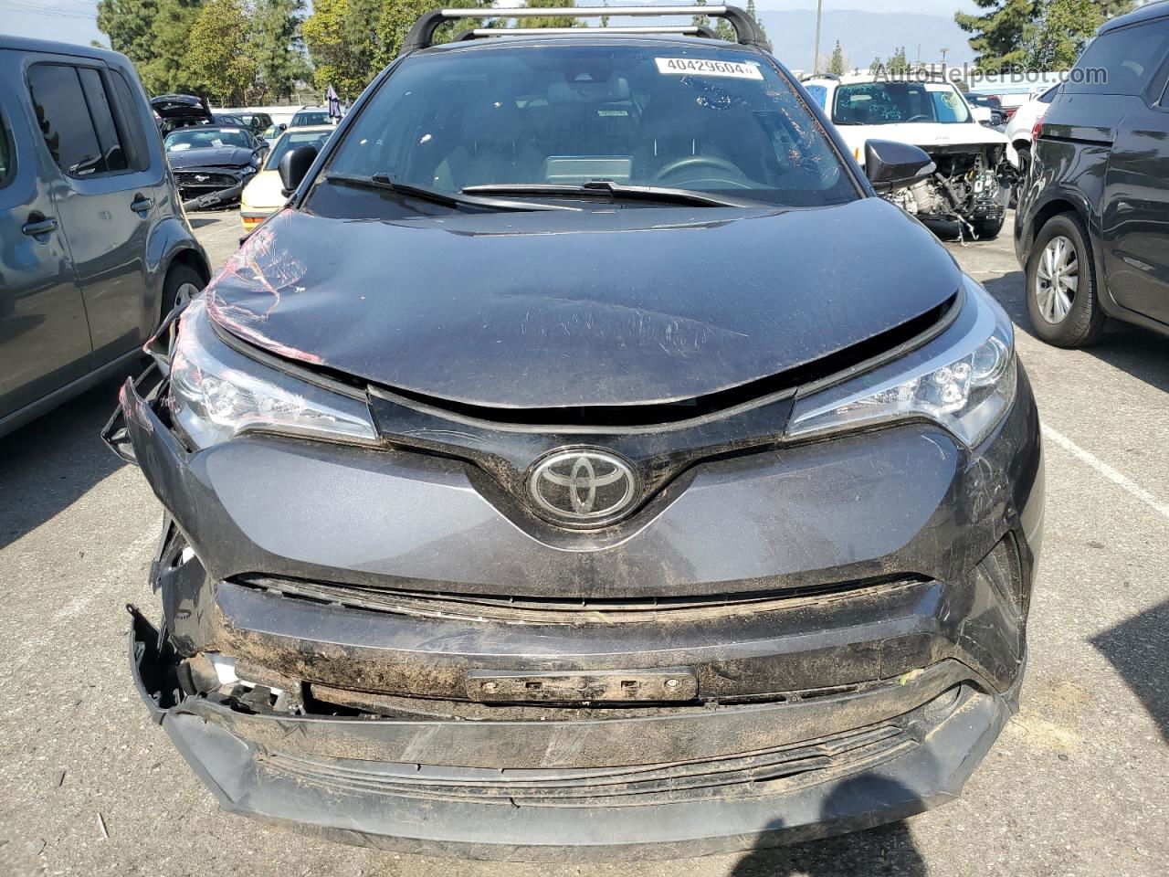 2019 Toyota C-hr Xle Gray vin: JTNKHMBX7K1045299