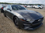 2019 Ford Mustang  Gray vin: 1FA6P8TH0K5116879