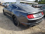 2019 Ford Mustang  Gray vin: 1FA6P8TH0K5116879