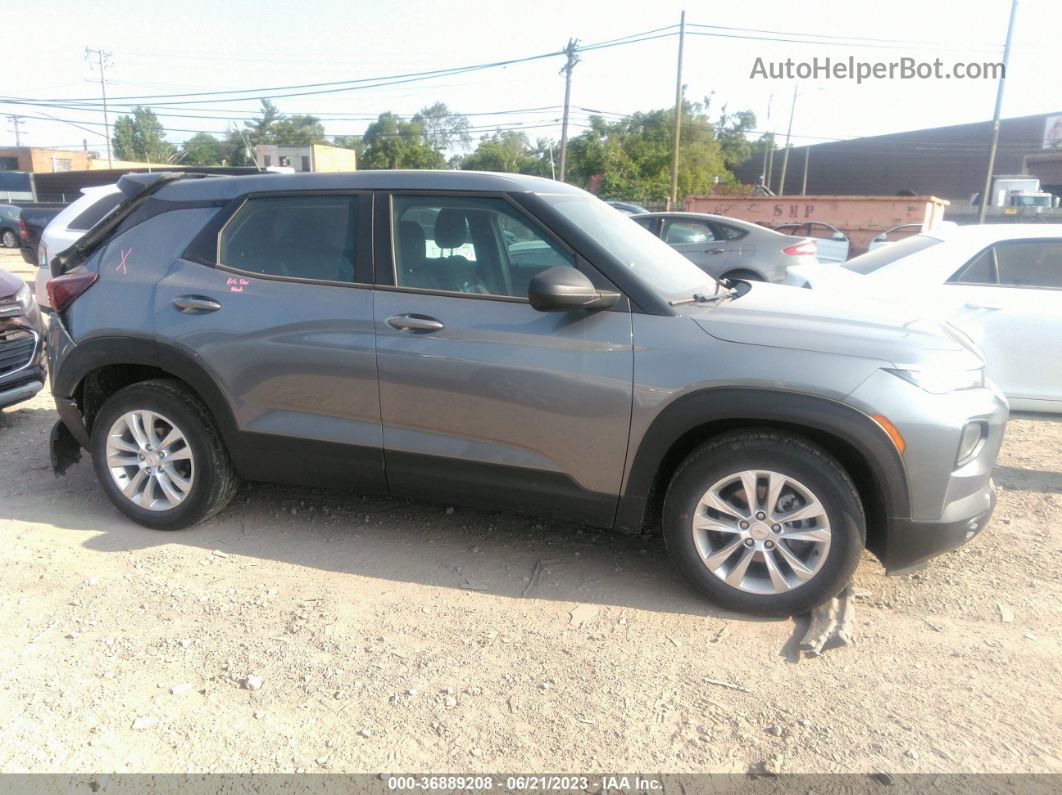 2021 Chevrolet Trailblazer Ls Серый vin: KL79MMS20MB098259