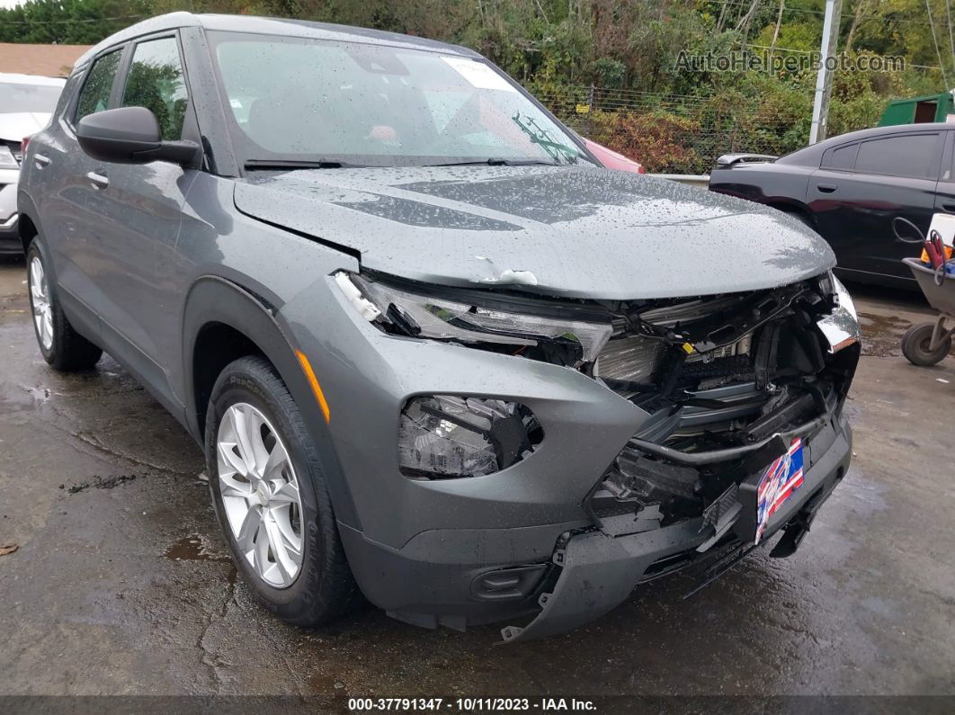 2021 Chevrolet Trailblazer Fwd Ls Gray vin: KL79MMS25MB128226