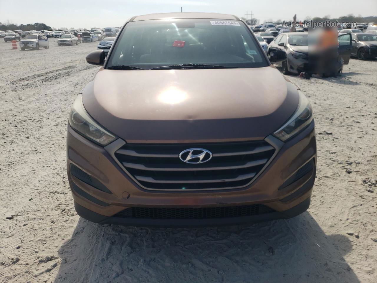 2016 Hyundai Tucson Se Brown vin: KM8J23A40GU039381