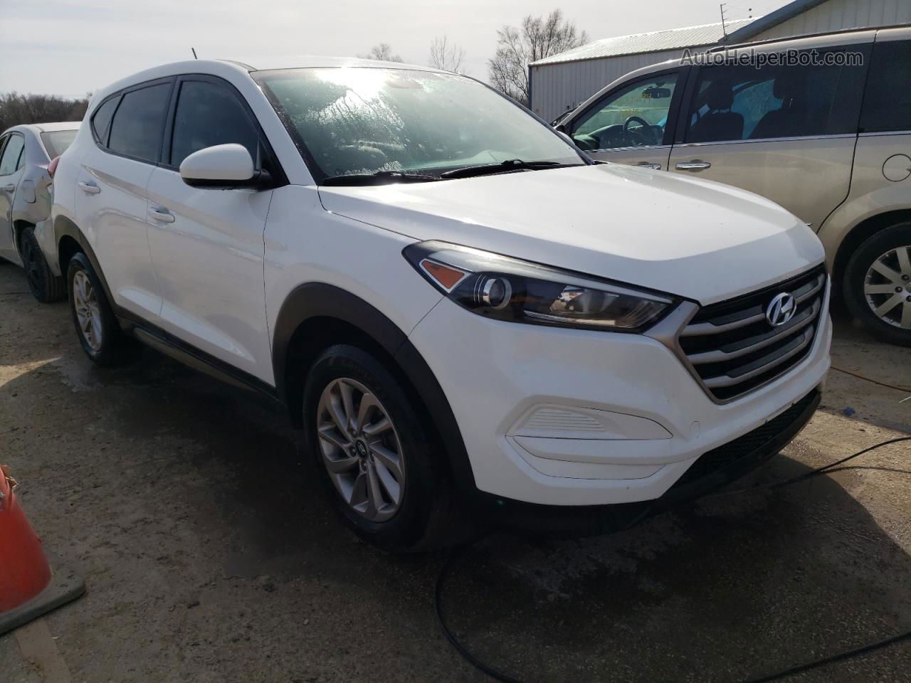 2017 Hyundai Tucson Se White vin: KM8J23A40HU262621