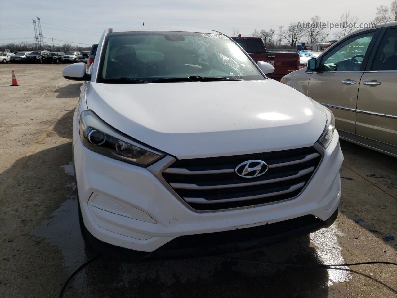 2017 Hyundai Tucson Se White vin: KM8J23A40HU262621