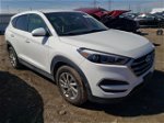 2017 Hyundai Tucson Se White vin: KM8J23A41HU579355