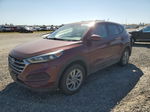 2017 Hyundai Tucson Se Burgundy vin: KM8J23A43HU376192