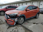 2017 Hyundai Tucson Se Оранжевый vin: KM8J23A43HU377035