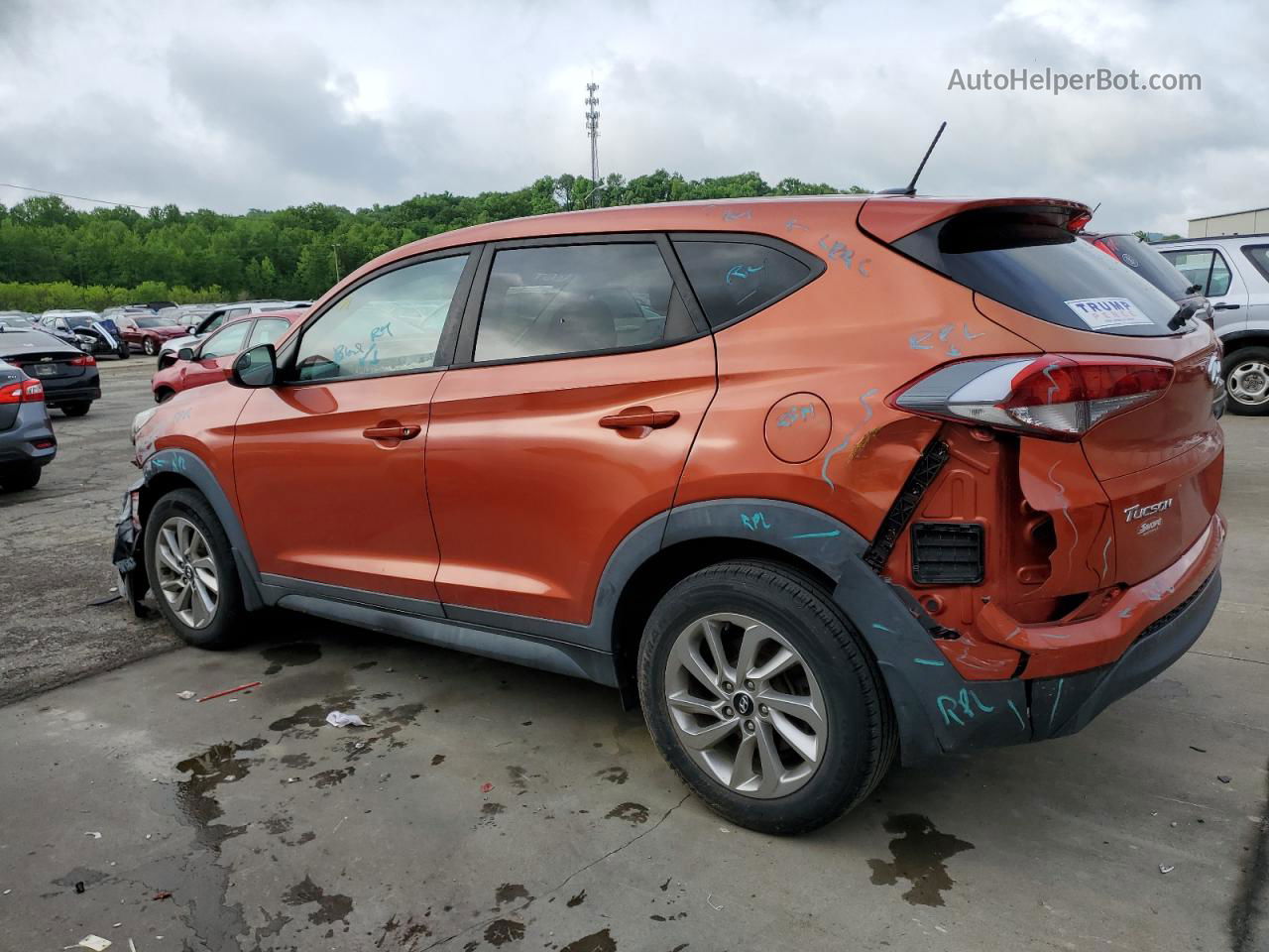 2017 Hyundai Tucson Se Оранжевый vin: KM8J23A43HU377035