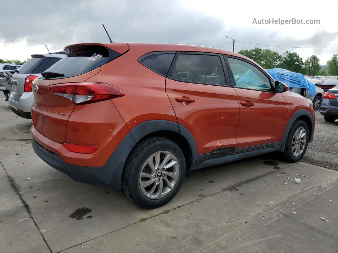 2017 Hyundai Tucson Se Оранжевый vin: KM8J23A43HU377035