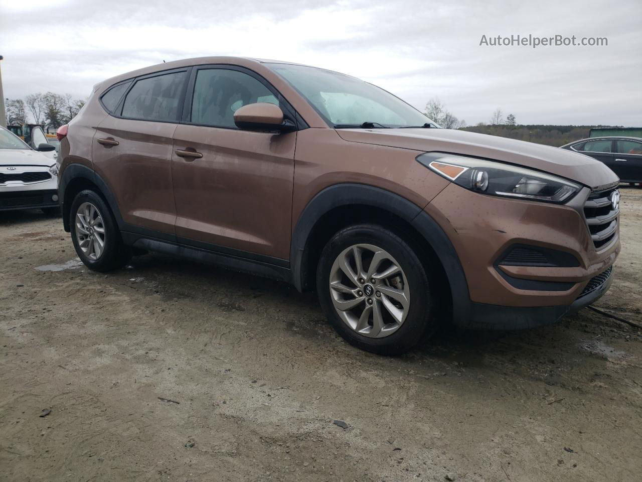 2016 Hyundai Tucson Se Коричневый vin: KM8J23A44GU155313