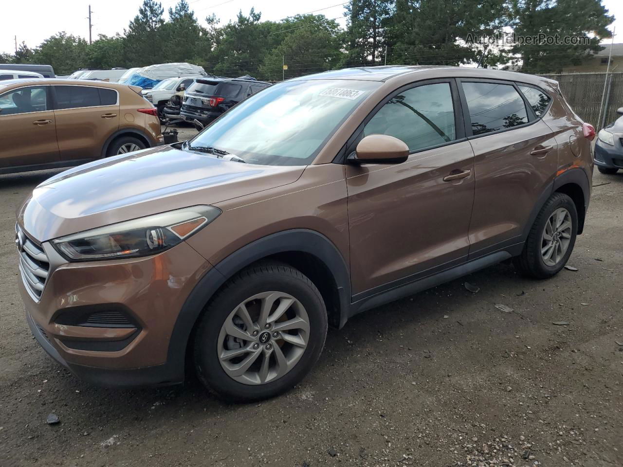 2017 Hyundai Tucson Se Brown vin: KM8J23A45HU449496