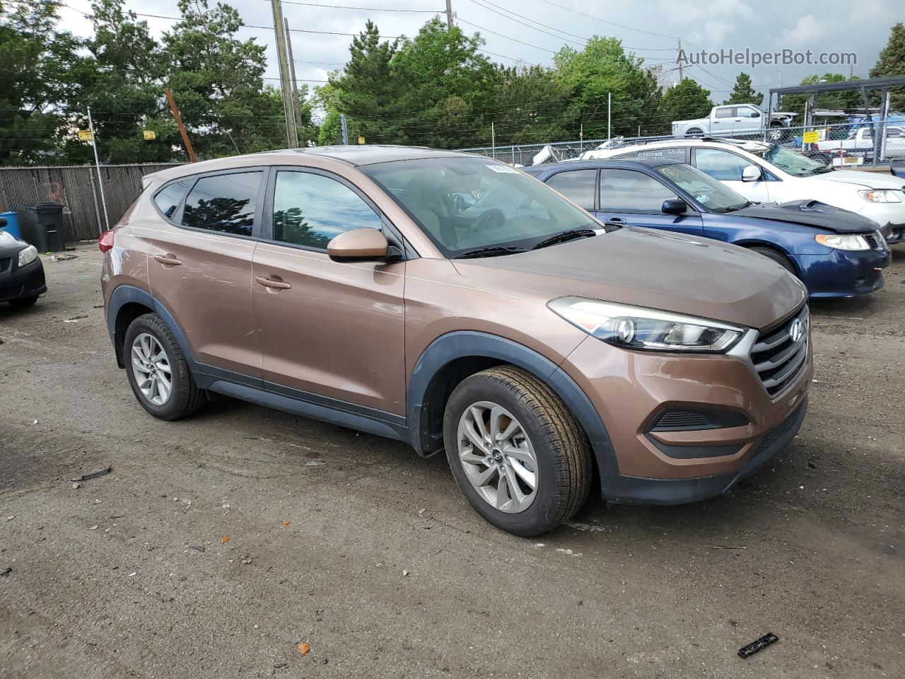 2017 Hyundai Tucson Se Коричневый vin: KM8J23A45HU449496