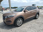 2017 Hyundai Tucson Se Brown vin: KM8J23A48HU345147