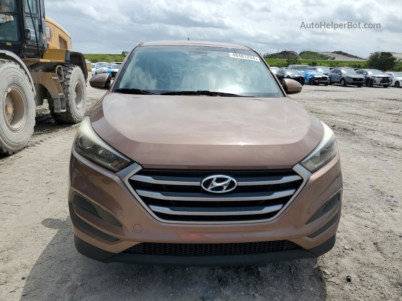 2017 Hyundai Tucson Se Brown vin: KM8J23A48HU345147