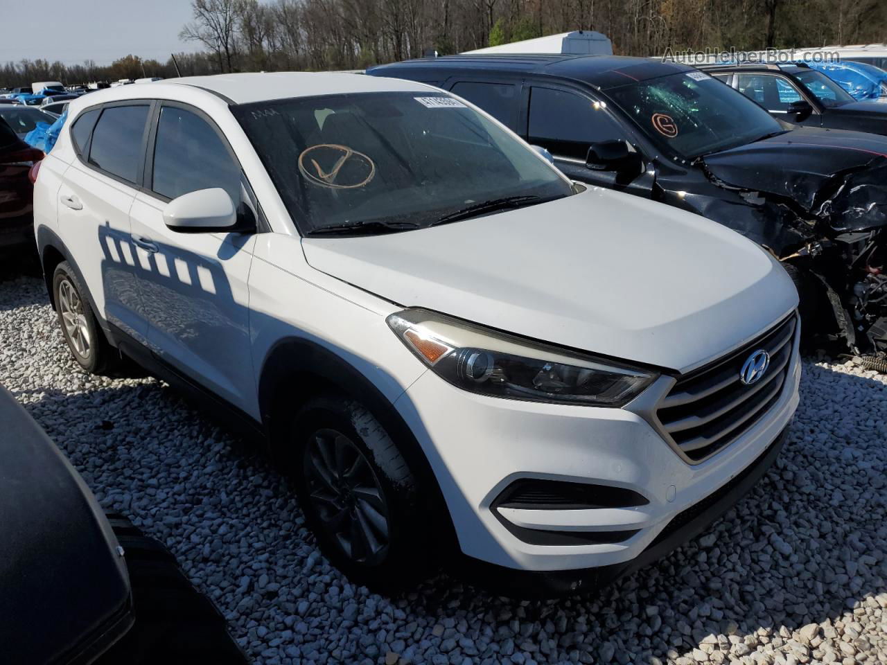 2017 Hyundai Tucson Se White vin: KM8J23A48HU357668