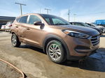 2017 Hyundai Tucson Se Brown vin: KM8J23A4XHU378649