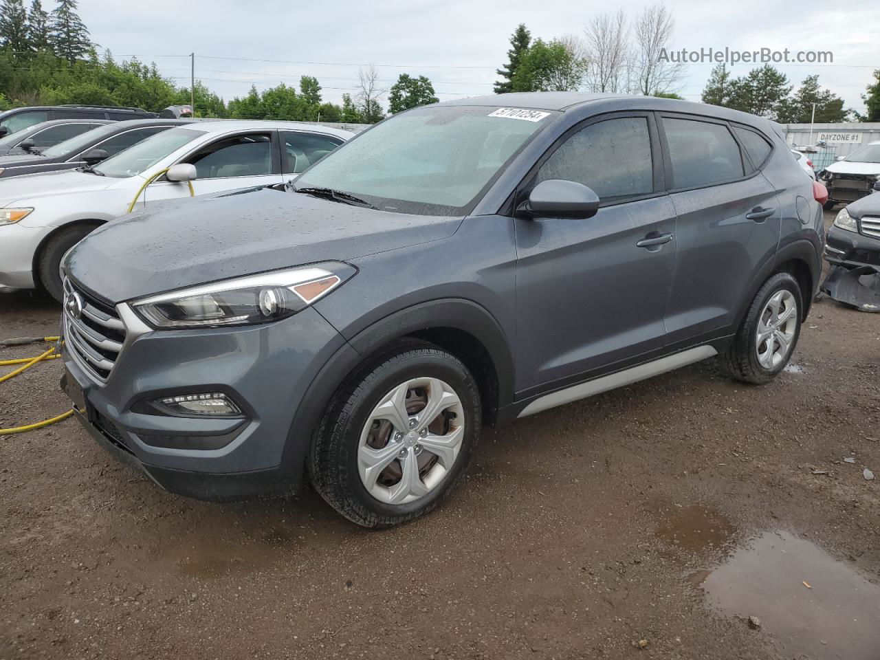 2017 Hyundai Tucson Se Gray vin: KM8J2CA40HU540689