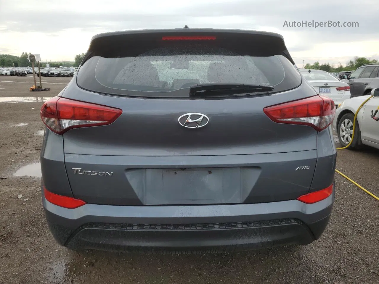 2017 Hyundai Tucson Se Gray vin: KM8J2CA40HU540689