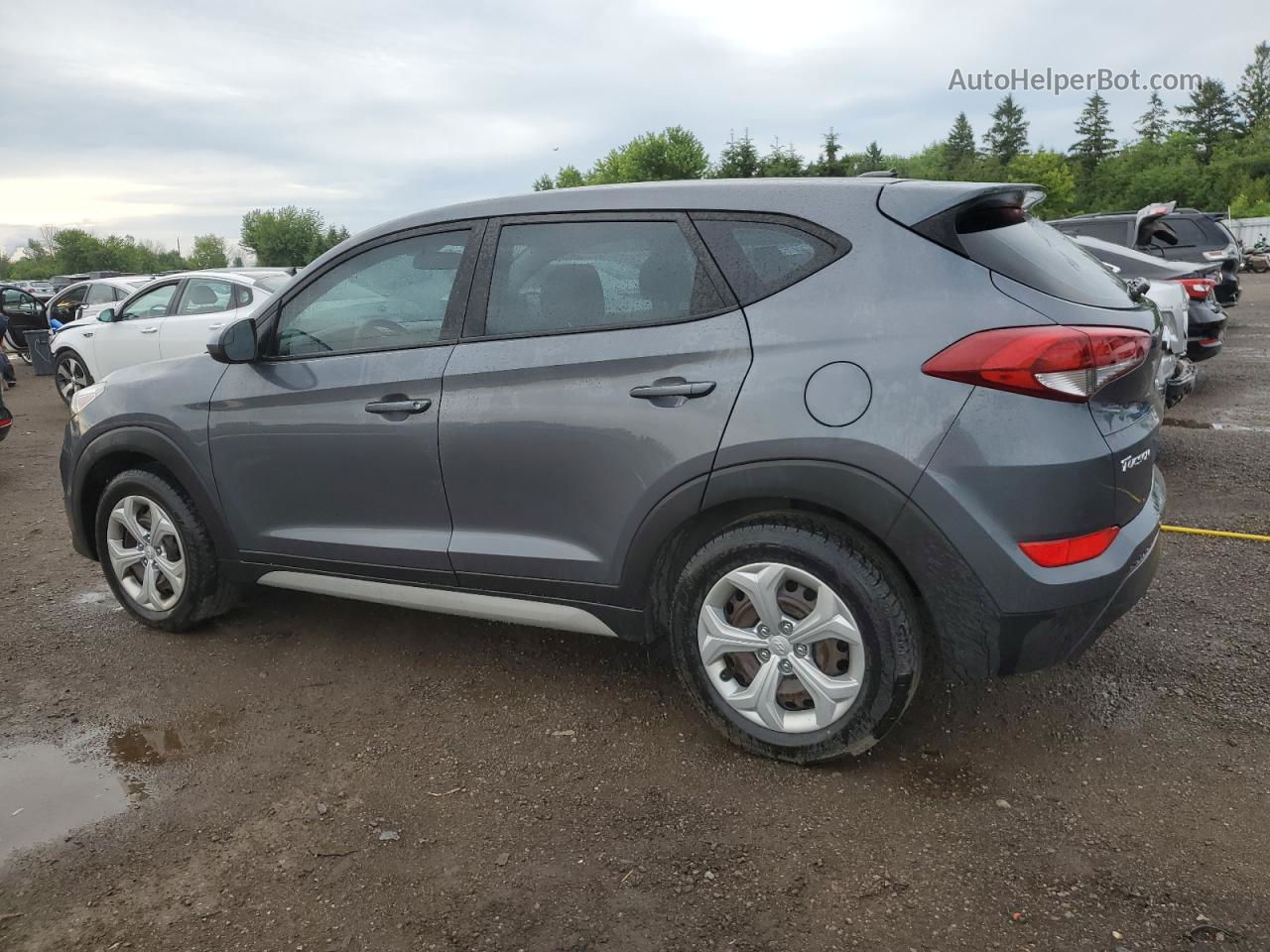 2017 Hyundai Tucson Se Gray vin: KM8J2CA40HU540689