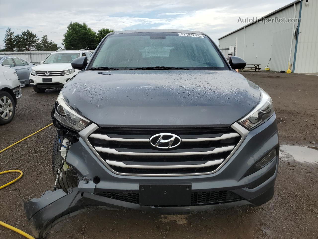 2017 Hyundai Tucson Se Gray vin: KM8J2CA40HU540689