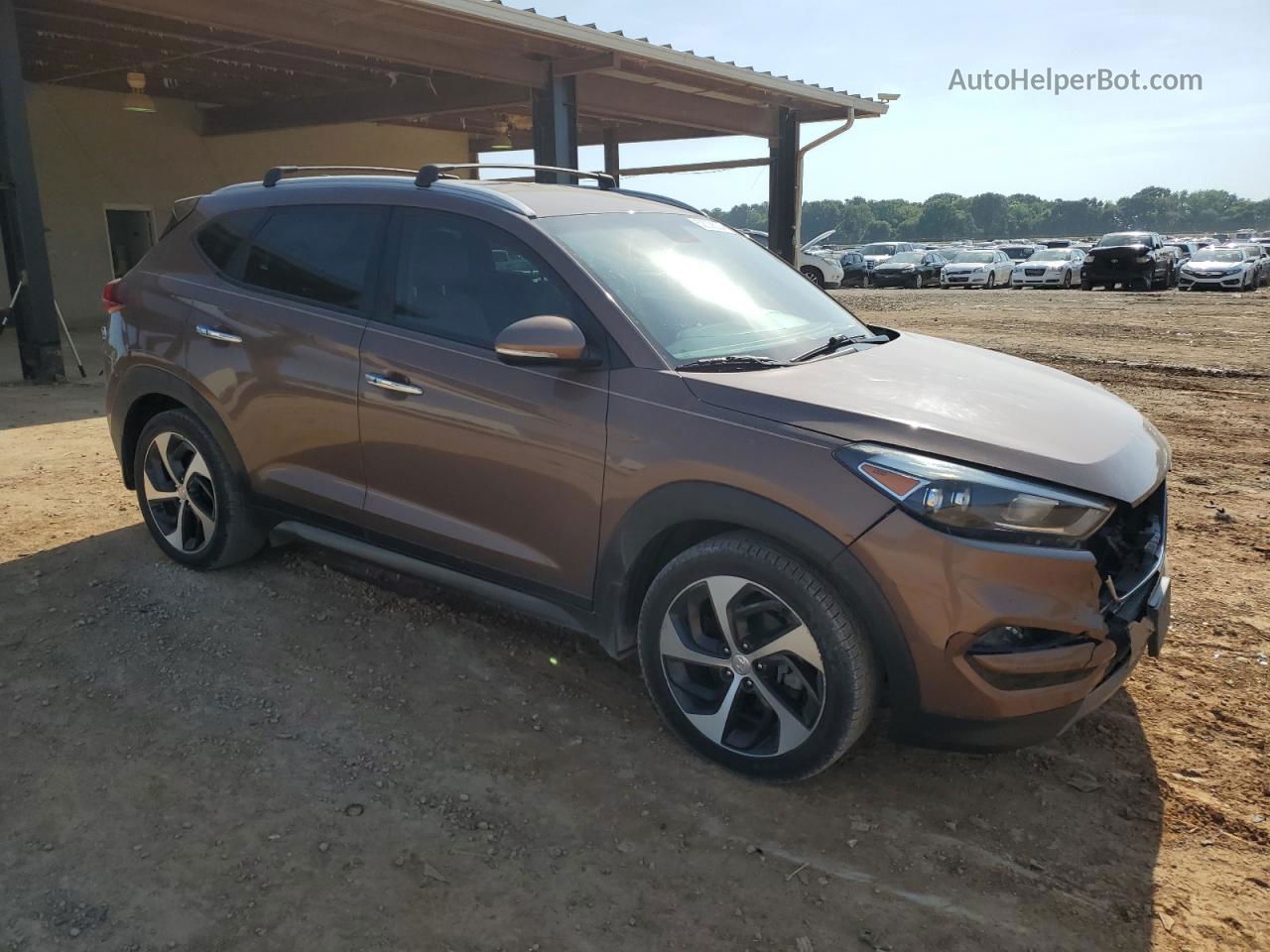 2016 Hyundai Tucson Limited Brown vin: KM8J33A20GU200811