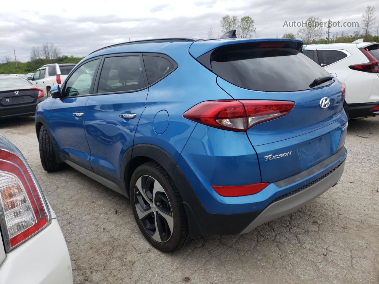 2017 Hyundai Tucson Limited Blue vin: KM8J33A20HU328256