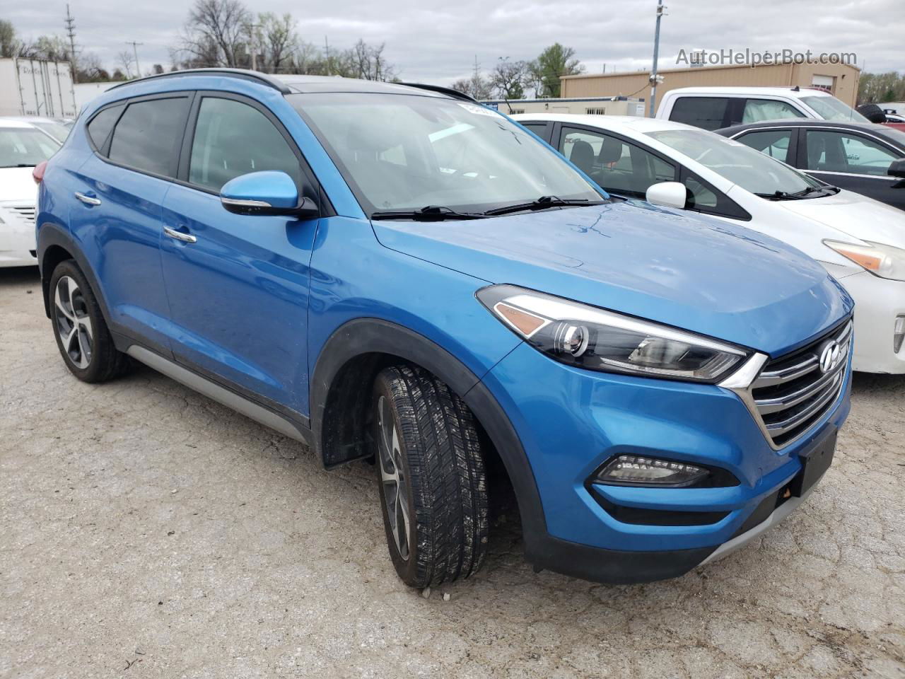 2017 Hyundai Tucson Limited Blue vin: KM8J33A20HU328256