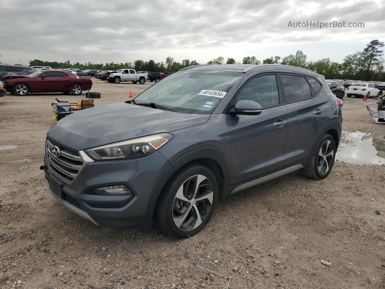 2017 Hyundai Tucson Limited Gray vin: KM8J33A20HU355568