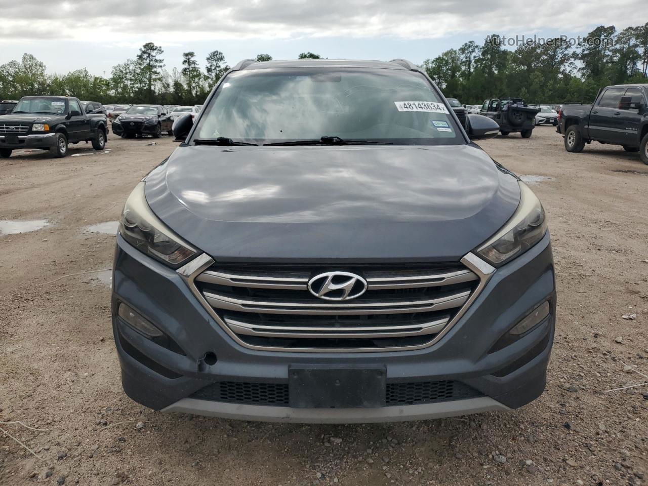 2017 Hyundai Tucson Limited Gray vin: KM8J33A20HU355568