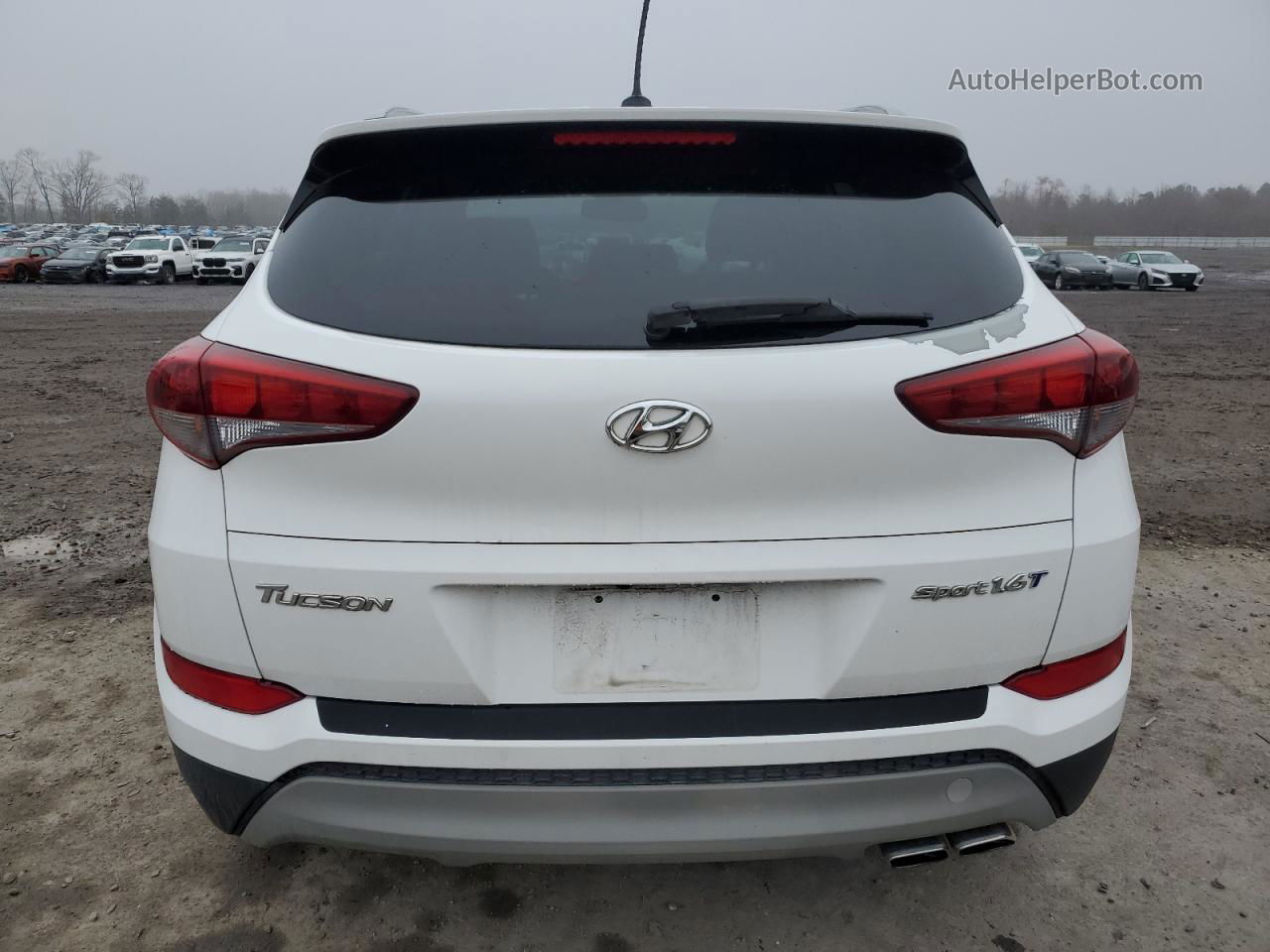 2017 Hyundai Tucson Limited Белый vin: KM8J33A20HU369339