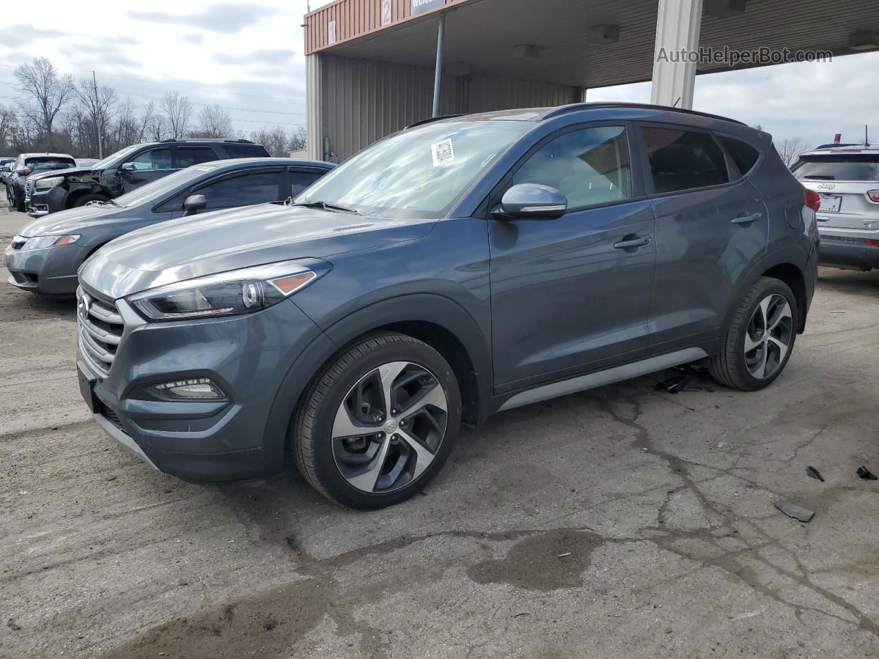 2017 Hyundai Tucson Limited Gray vin: KM8J33A20HU551879