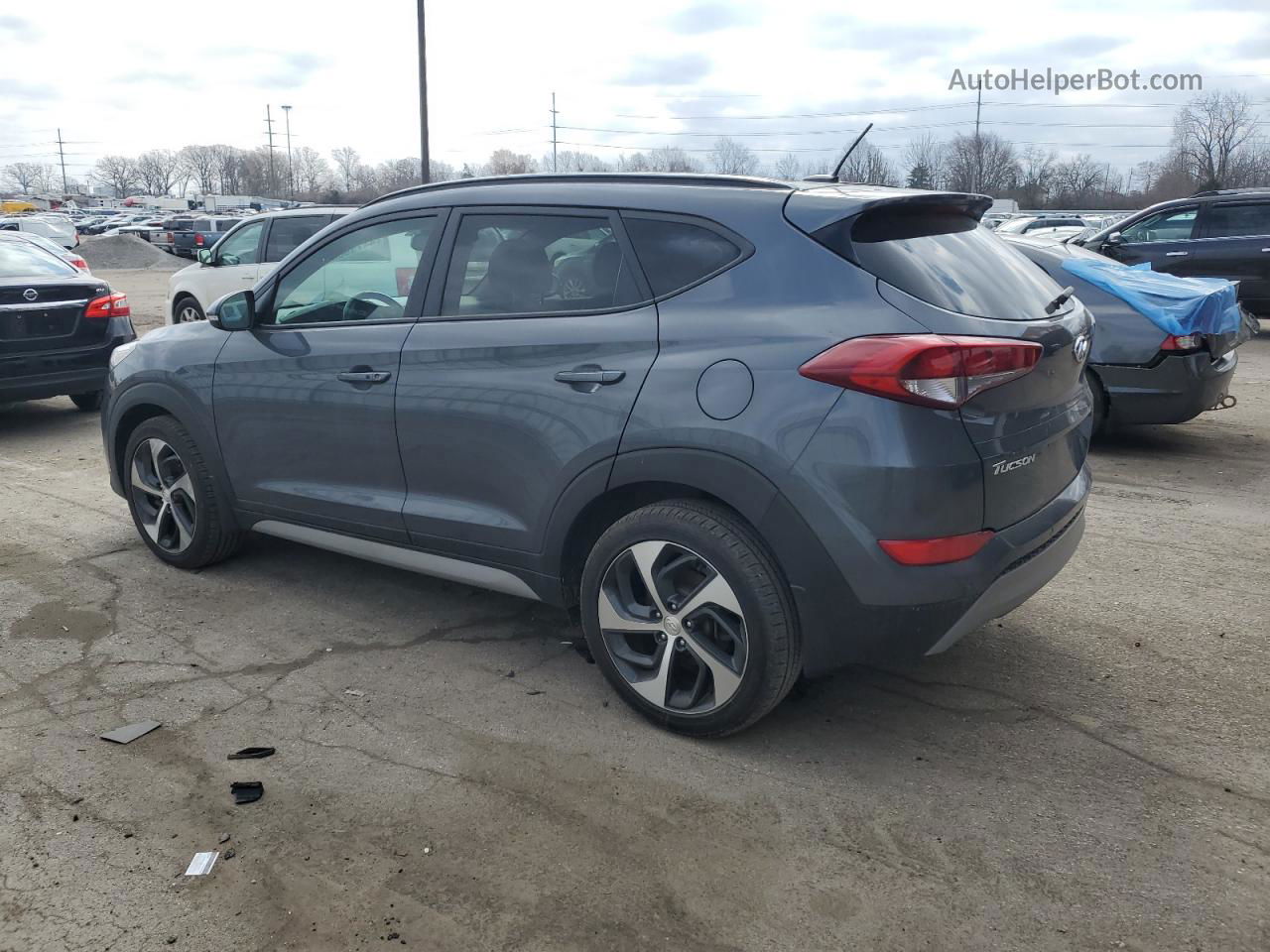 2017 Hyundai Tucson Limited Gray vin: KM8J33A20HU551879