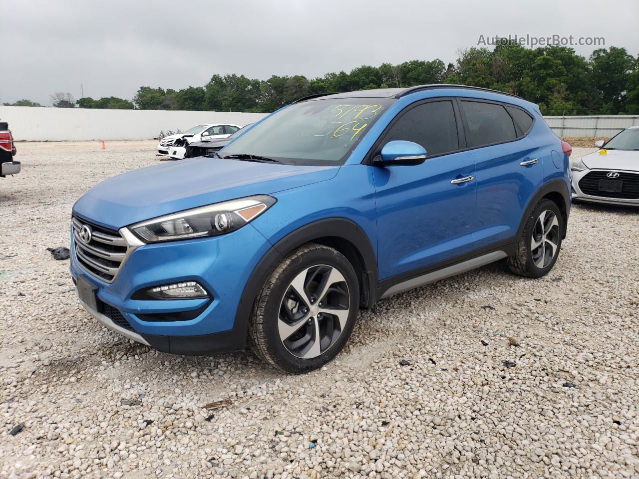 2017 Hyundai Tucson Limited Синий vin: KM8J33A21HU341758