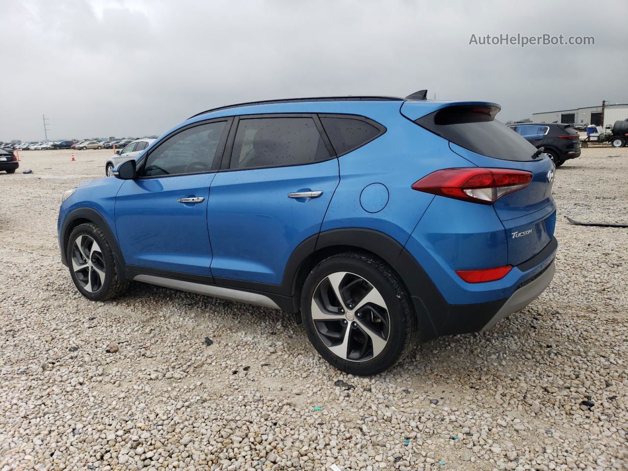 2017 Hyundai Tucson Limited Blue vin: KM8J33A21HU341758