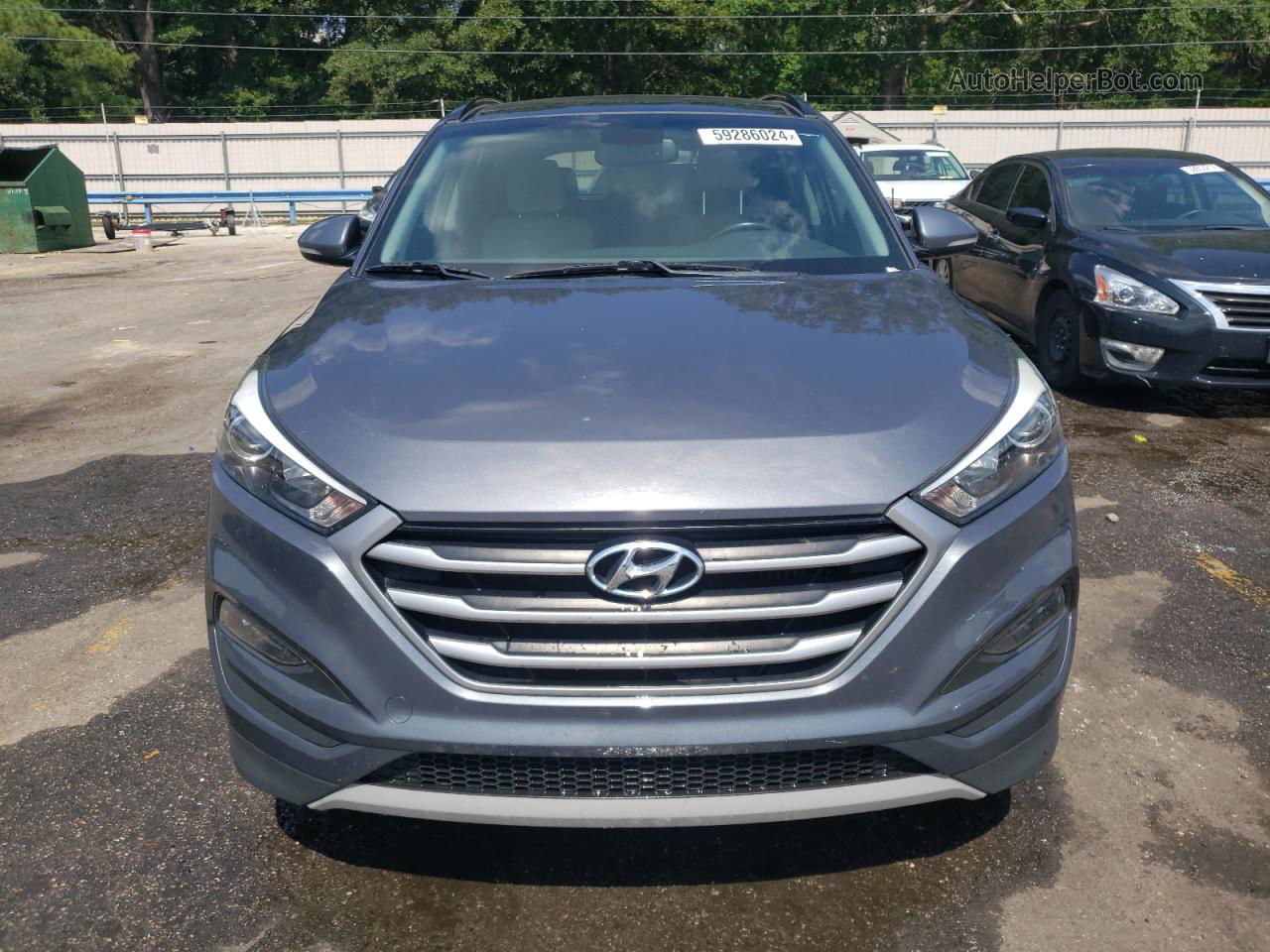 2017 Hyundai Tucson Limited Gray vin: KM8J33A21HU549963