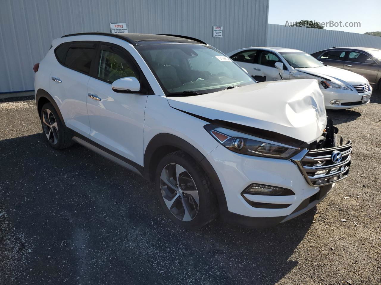 2017 Hyundai Tucson Limited Белый vin: KM8J33A22HU276483