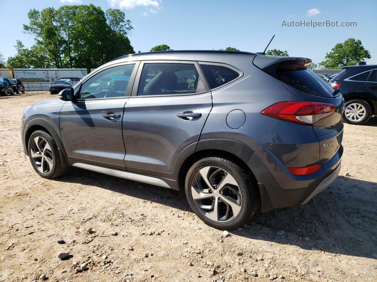 2017 Hyundai Tucson Limited Серый vin: KM8J33A22HU575519