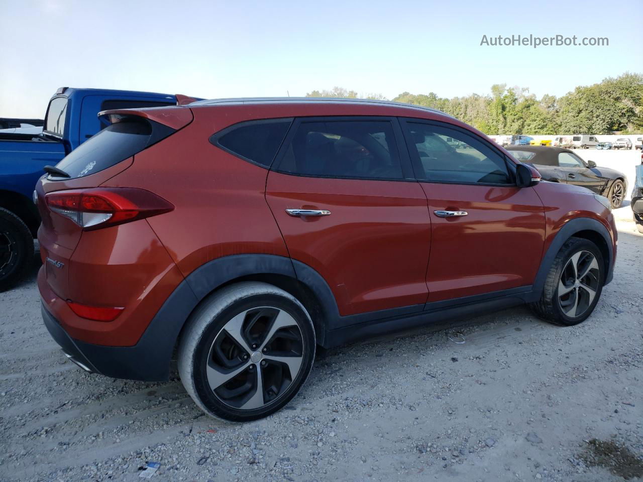 2016 Hyundai Tucson Limited Red vin: KM8J33A23GU040522