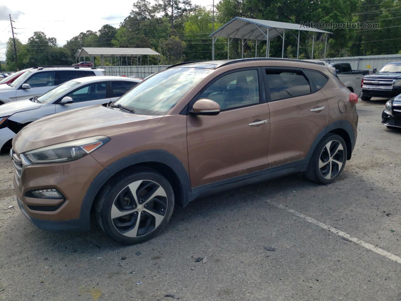 2016 Hyundai Tucson Limited Brown vin: KM8J33A23GU094838