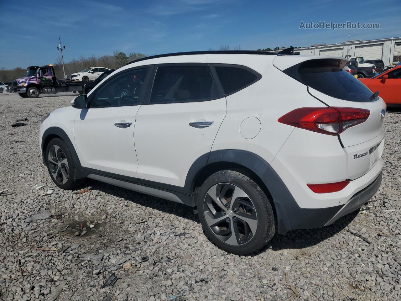 2017 Hyundai Tucson Limited White vin: KM8J33A25HU376531