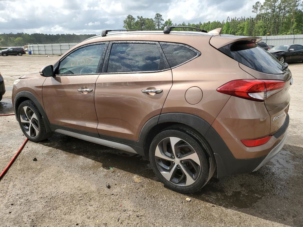 2017 Hyundai Tucson Limited Brown vin: KM8J33A25HU377338