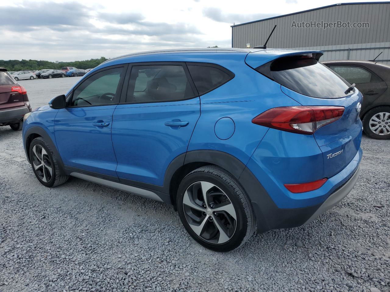 2017 Hyundai Tucson Limited Blue vin: KM8J33A26HU368938